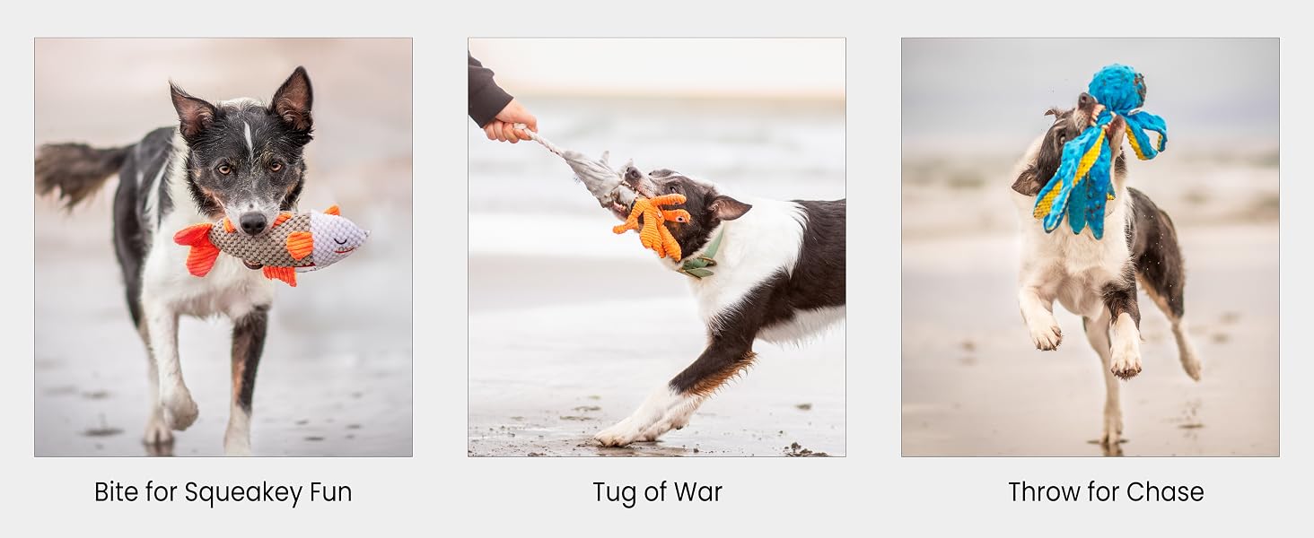 dog toys