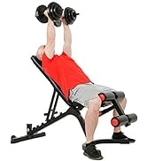 Sunny Health & Fitness Adjustable Power Zone Utility Heavy Duty Weight Bench