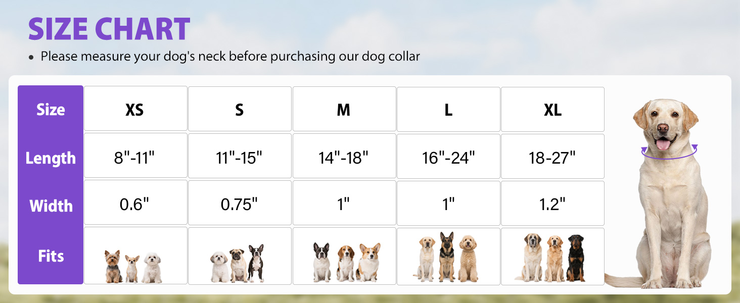 dog collars