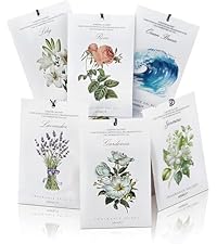 https://m.media-amazon.com/images/S/aplus-media-library-service-media/d1d13d3a-8d64-4673-9c47-1f62a50c15f7.__AC_SR200,225___.jpg