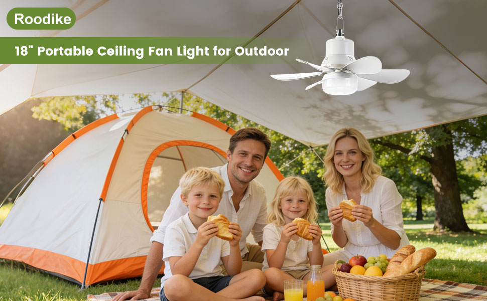 Roodike Rechargeable small ceiling fan light RD-6C