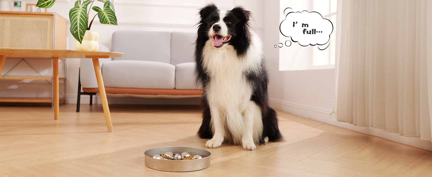 slow feeder dog bowls
