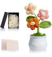 ZHIYUXI Orange Gifts for Women Crochet Handmade Flowers Desk Shelf Decor for Birthdays Anniversar...