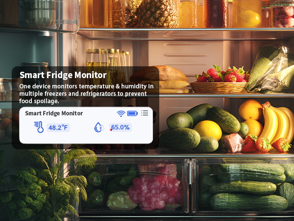 wifi temperature monitor freezer