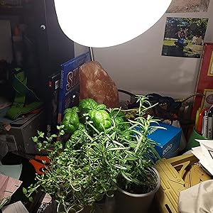 5000K-Red-Blue Yellow for Seeds Greens Flower Fruit Garden