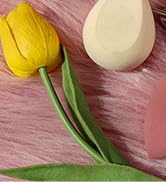 Makeup Sponge Set Foonbe Blender Sponges 7 Pcs for Liquid, Cream, and Powder, Latex Free, Multi c...