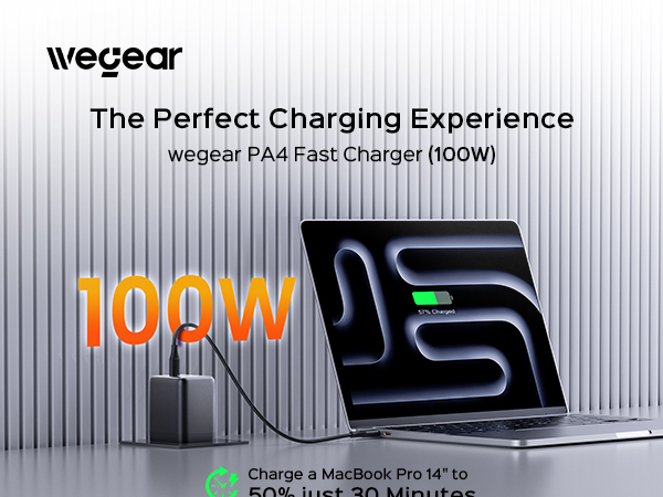 100w fast charger