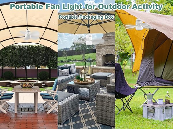 Portable Fan Light