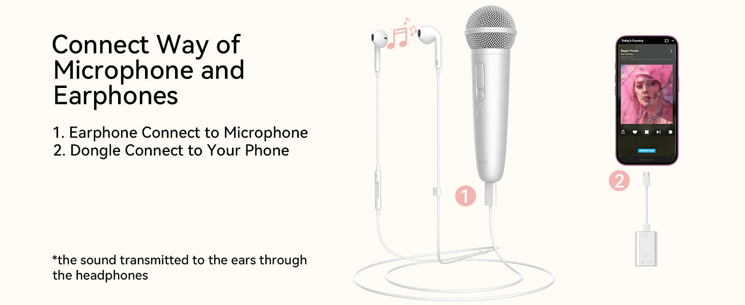 microphone with stand