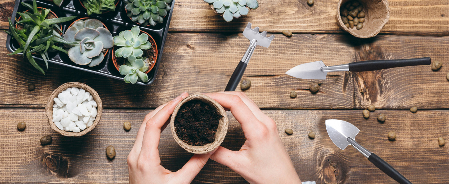 succulent tools