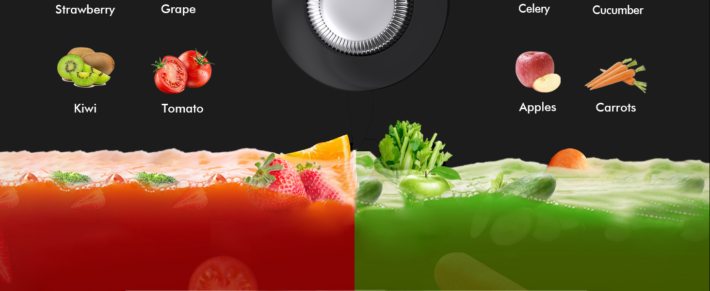 SiFENE Masticating Juicer Classic 3009-fits fruits and veges such as kiwi, tomatoes, apples, carrots