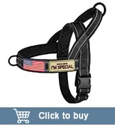 Forestpaw No Pull Dog Harness - Soft Flannel Padded Tactical Dog Vest Harness with Quick Release ...