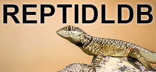 https://m.media-amazon.com/images/S/aplus-media-library-service-media/c4346b6f-7675-4efd-8ed1-d2ca6b0fbe49.__CR0,0,315,145_PT0_SX315_V1___.jpg