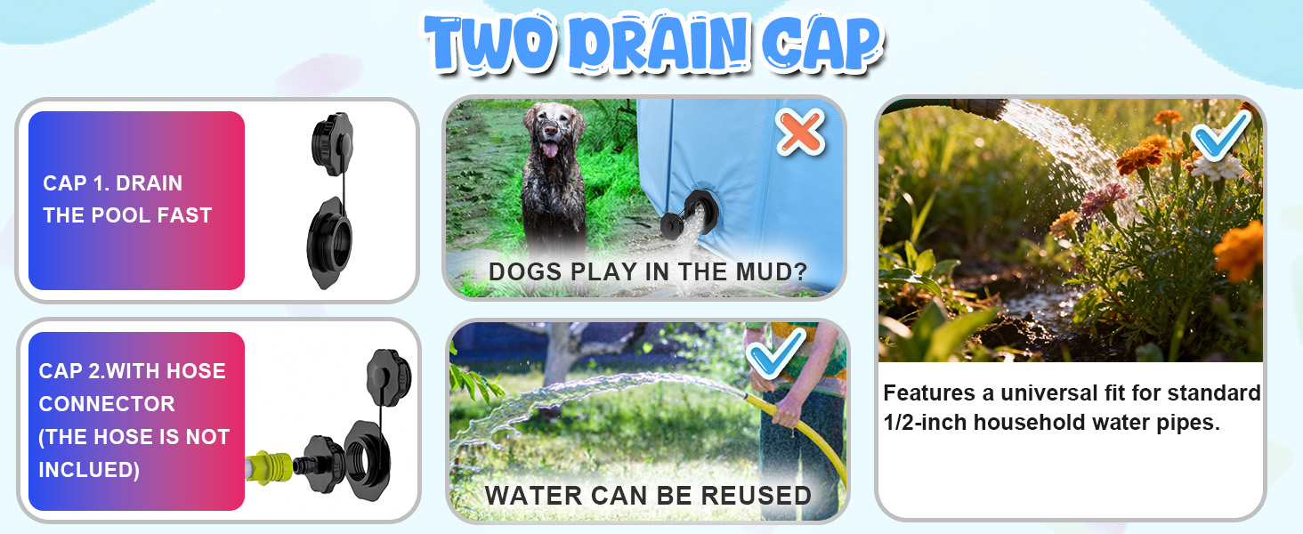 dog pool