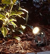 low voltage landscape lights