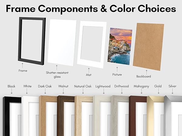 Frame Components and Color Choices