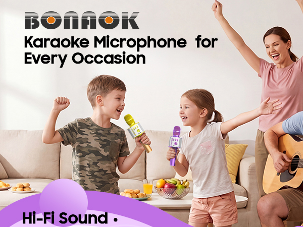 karaoke microphone