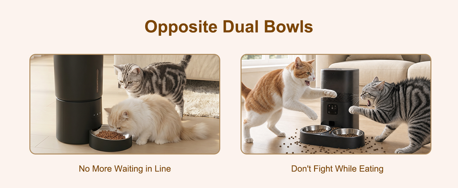 automatic pet feeder
