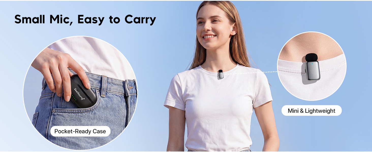 Small Mic, Easy to Carry