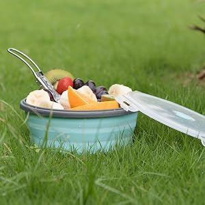 Silicone Bowl