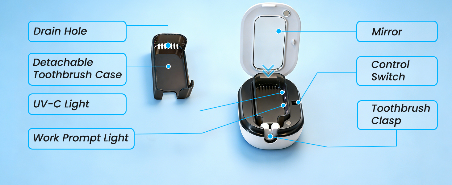 Toothbrush Sanitizer Holder