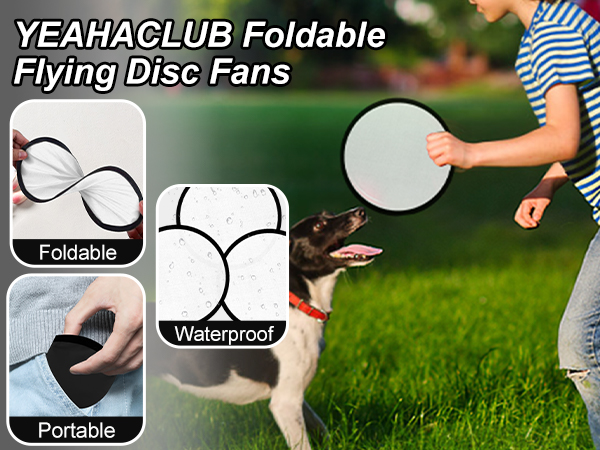 Flying Disc
