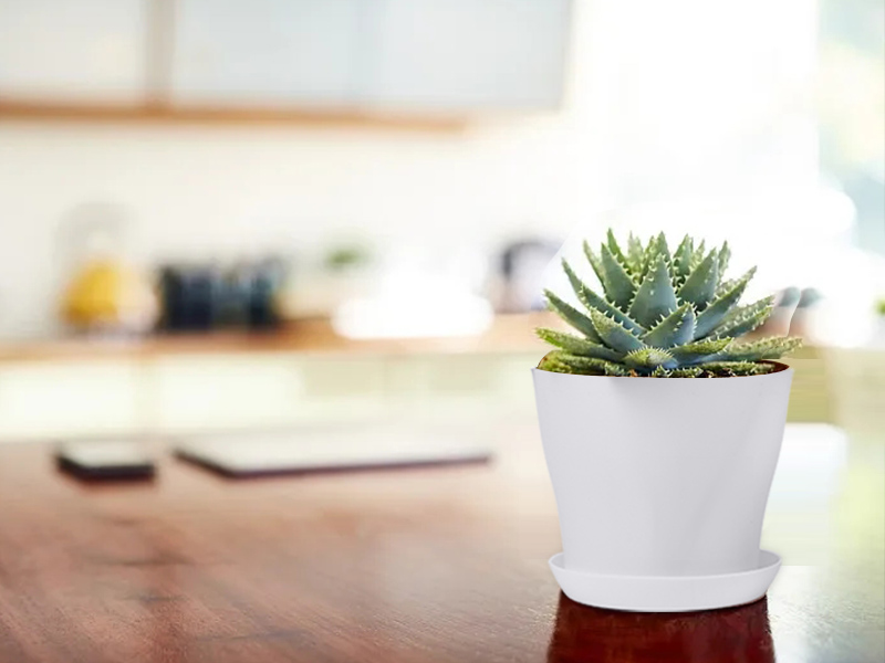 4 inch pots for plants