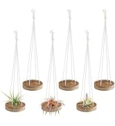 6 Pcs Hanging Wooden Air Plant Holder - 3" Round Airplants Live Hanger with Ropes, Rustic Tilland...