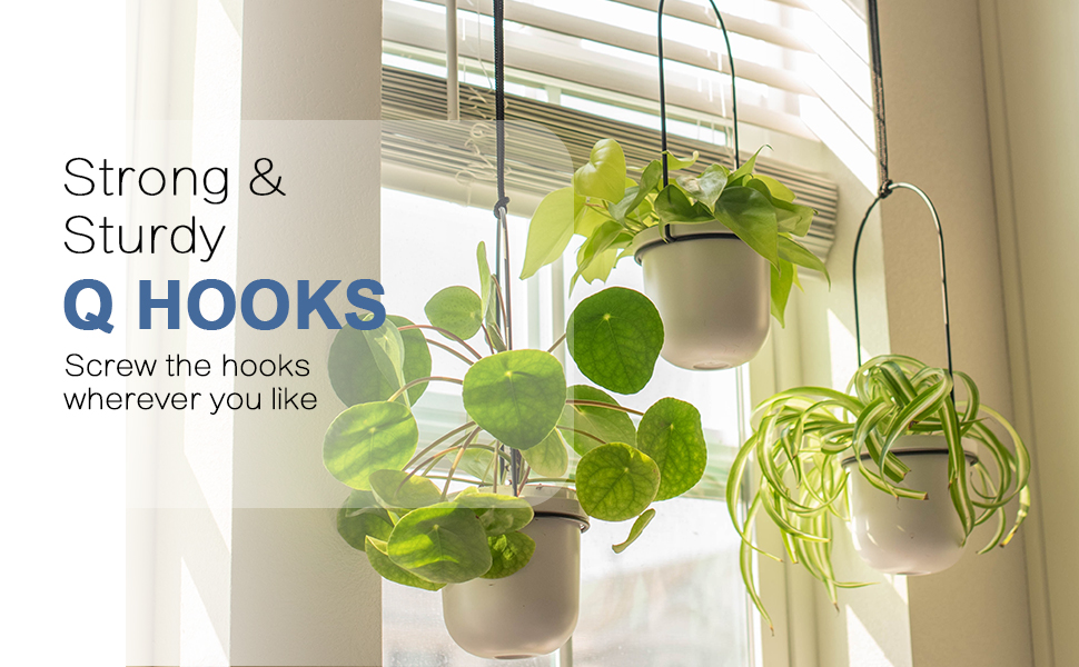 ceiling screw hooks for plants