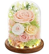 Alupssuc Forever Preserved Real Flowers for Delivery Prime, Eternal Fresh Roses in Glass Dome wit...