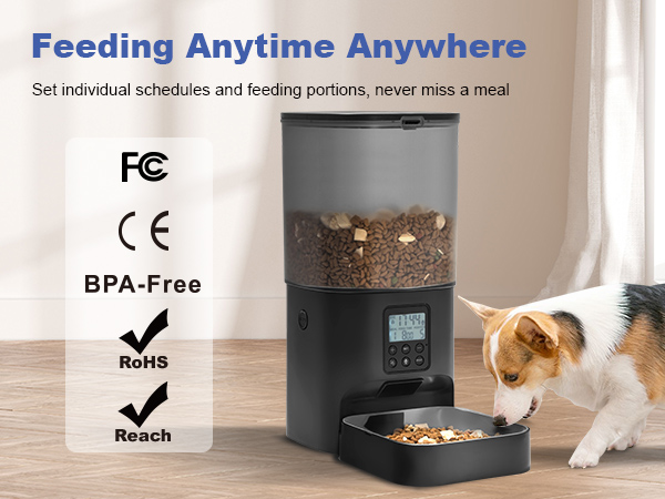6L Automatic cat feeder -Black