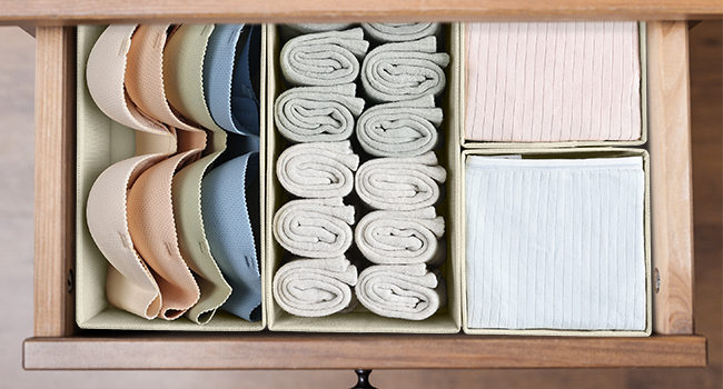 Drawer organizer for clothing