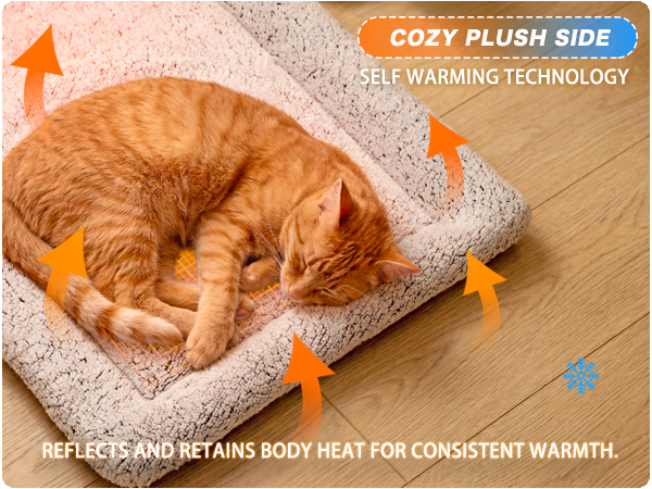 self warming cat bed