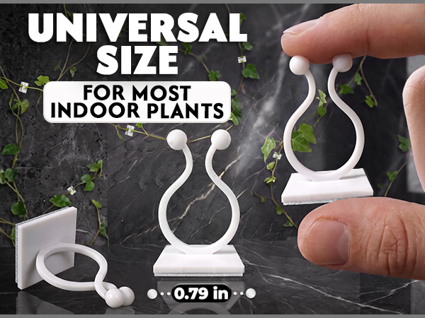 plant climbers for indoor plants wall plant hook money plant support indoor stem holders for plants