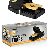 Mouse Traps