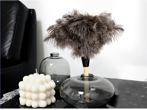 Selected dense ostrich feathers