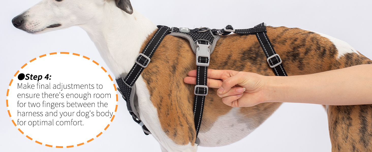 escape proof dog harness