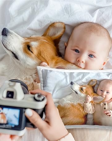 https://m.media-amazon.com/images/S/aplus-media-library-service-media/ffa67929-14b1-4898-b301-38327d310193.__CR0,0,985,1233_PT0_SX362_V1___.jpg