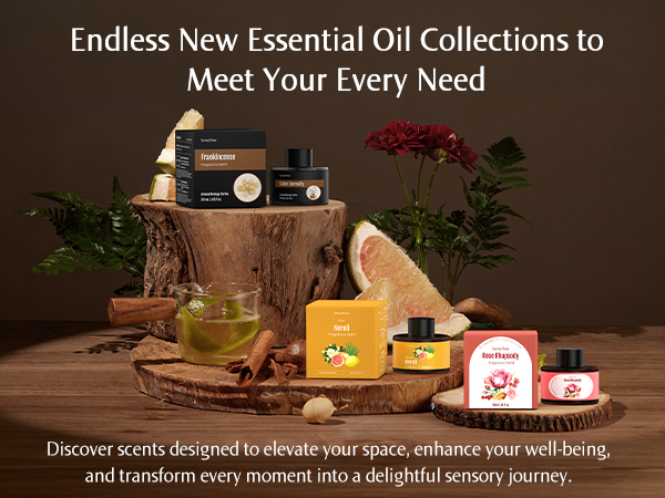 Endless New Essential Oil Collections to Meet Your Every Need