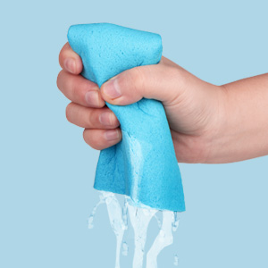 Absorbent