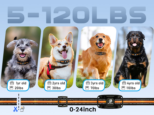 fit for dogs 5-120lbs