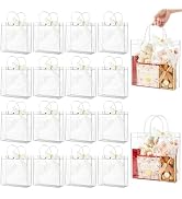 Ohuimrt 20 PCS Clear Plastic Gift Bags with Handles, Reusable Party Favor Bags with Ribbon Transp...