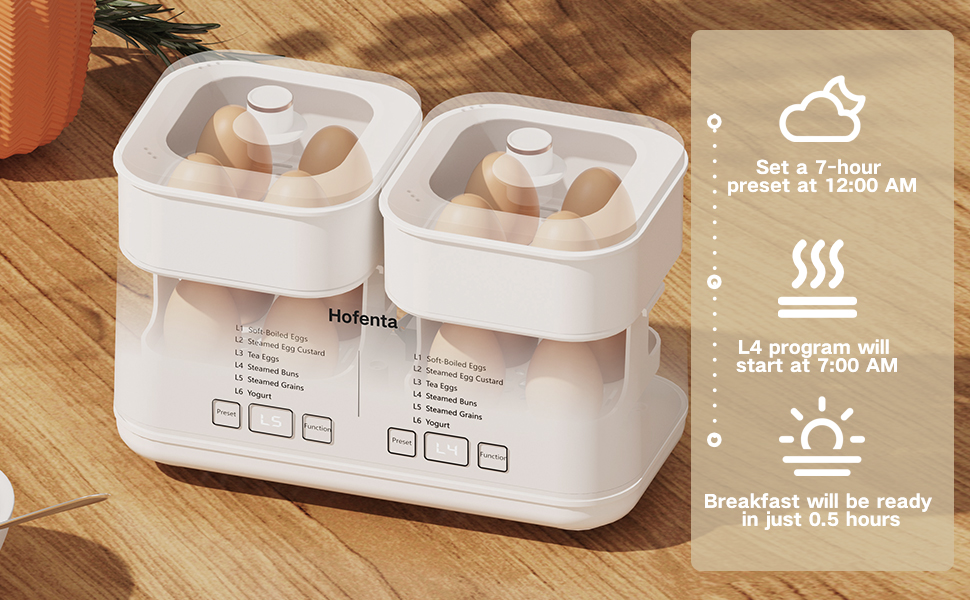 Electric Egg Steamer