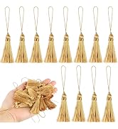 BEL AVENIR 45 Pcs Mini Bookmark Tassels 3.75inch/9.5cm Silky Handmade Keychain Tassel with 2.15in...