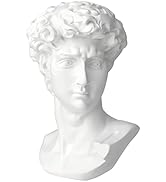 Norrclp 11in Greek Statue of David, Classic Roman Bust Greek Mythology Sculpture for Home Decor