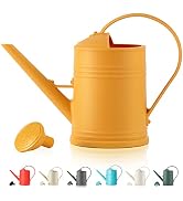 Watering Can for Indoor Plants, Flower Watering Can with Detachable Sprinkler Head, Indoor Wateri...