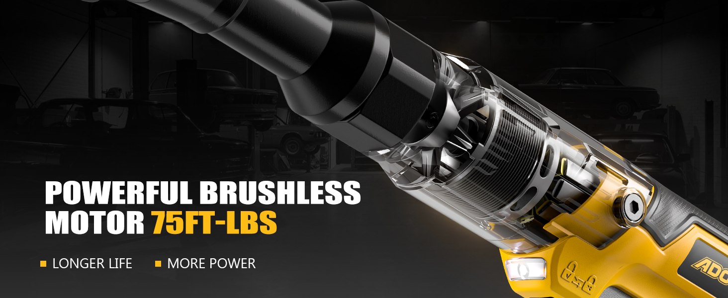 Brushless Motor