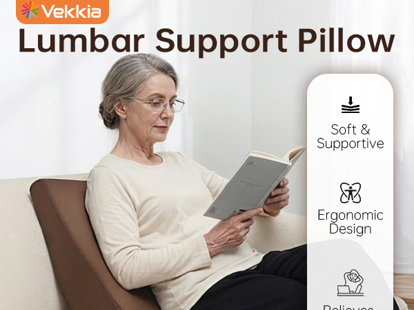 Lumbar Support Pillow