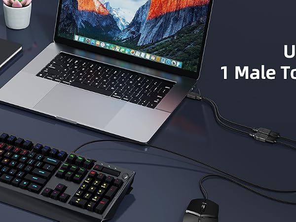 USB splitter cable connecting laptop to keyboard. Text overlay: 'USB Splitter 1 Male To 2 Female'. Desk setup with notebook and plant visible.