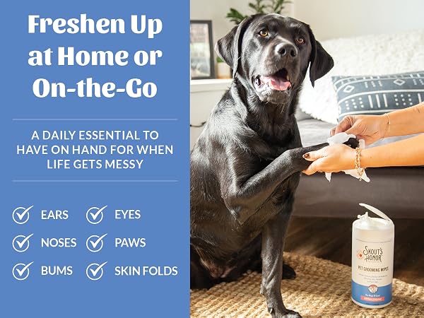 Grooming Wipes-Family